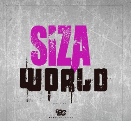 Big Citi Loops Siza World WAV